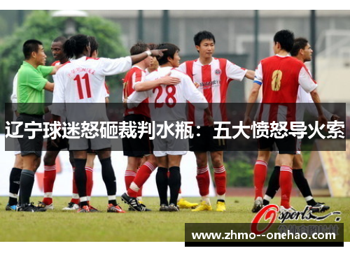 辽宁球迷怒砸裁判水瓶:五大愤怒导火索 辽宁球迷怒砸裁判水瓶:五大愤怒导火索