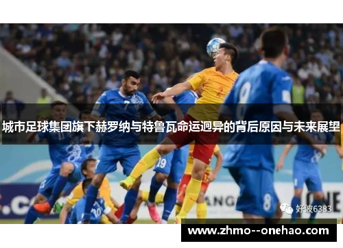 城市足球集团旗下赫罗纳与特鲁瓦命运迥异的背后原因与未来展望