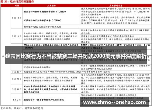 魏震因比赛行为不当被禁赛三场并罚款2000美元事件深度解析